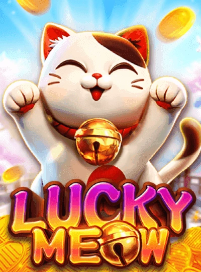 Live bingo game cover